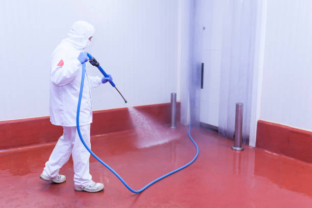 Boat and Dock Cleaning in Coldstream, KY