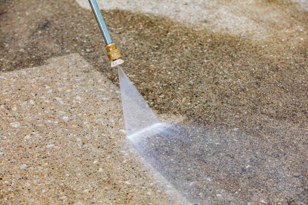 Animal Enclosure Cleaning in Coldstream, KY